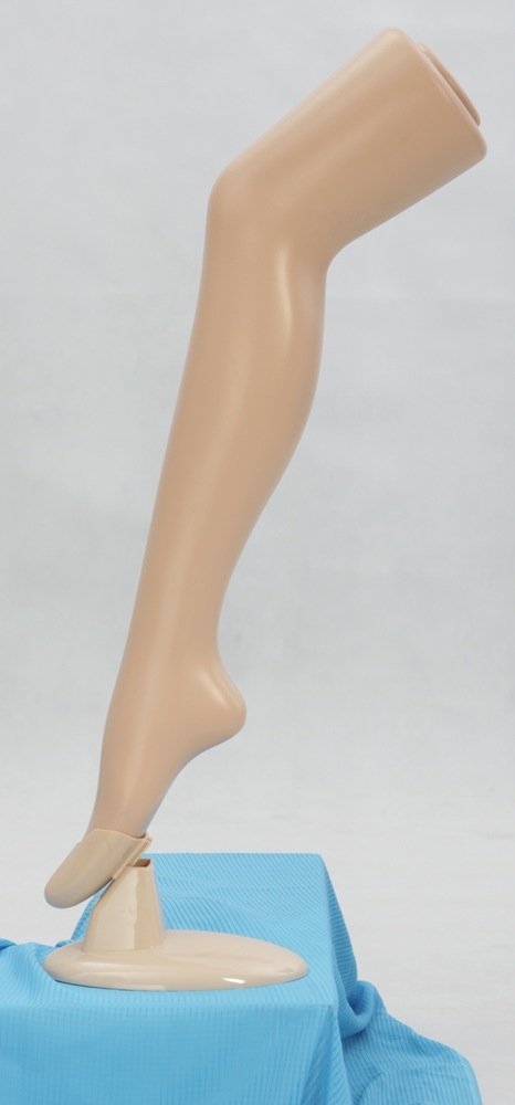 Female sock display T4