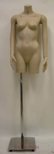 Female Torso Arms