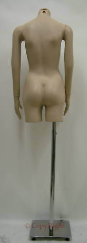 Female Torso Arms