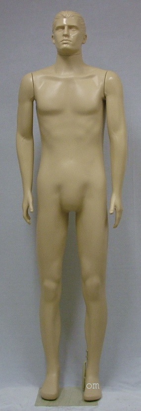 Male Brazilian body with Head