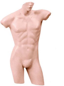Male 3/4 Torso Half Face