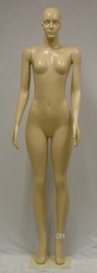 Female Brazilian Body with Head Nude