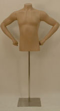 Male Torso With Arms Steel