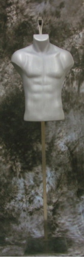 Male Torso with base
