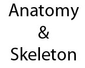 Anatomy & Skeleton